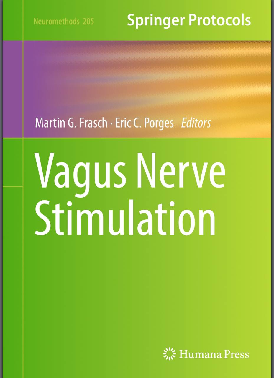 Vagus nerve stimulation